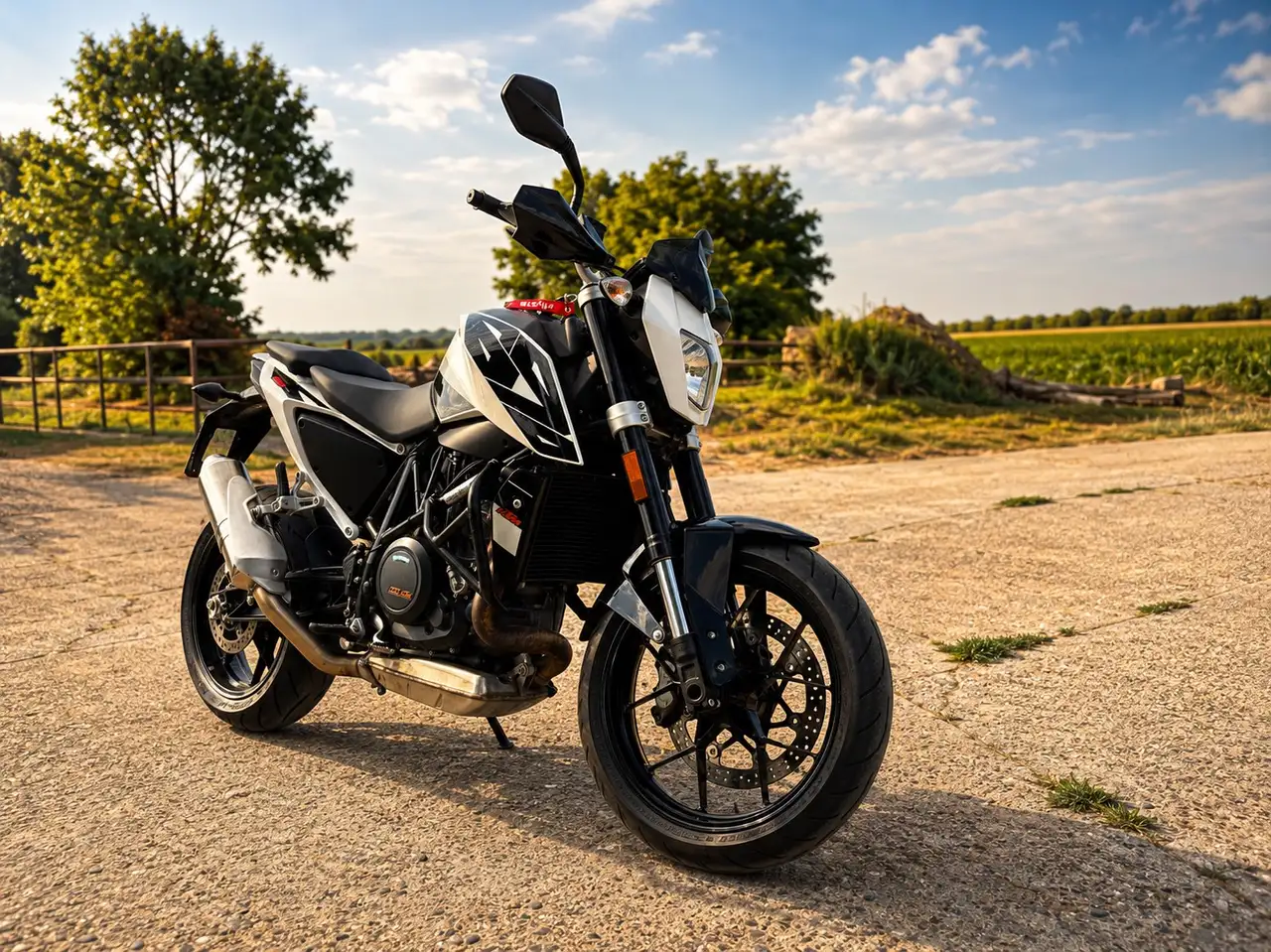 KTM 690 Duke
