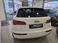 Audi Q5 Q5 35 2.0 tdi Business Sport quattro  s-tronic Weiß - thumbnail 14