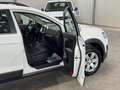 Chevrolet Captiva 2.4 Edition *GARANTIE*7-SITZER*NAVI*RFK* Blanc - thumbnail 10