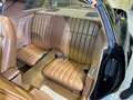 Pontiac Trans Am Y88 Special Edition (1978) Negro - thumbnail 16