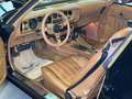 Pontiac Trans Am Y88 Special Edition (1978) Negro - thumbnail 14