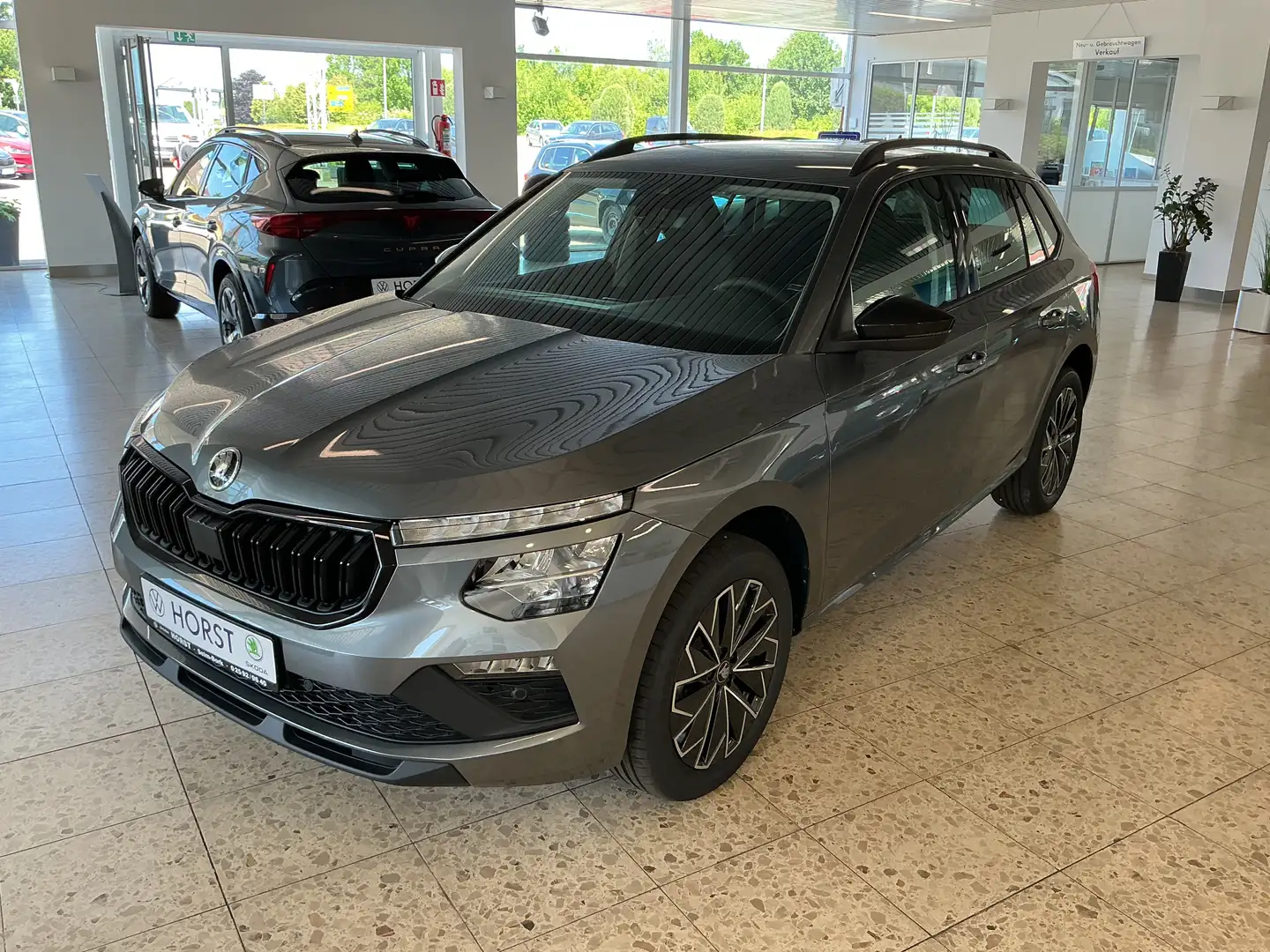 Skoda Kamiq Selection Kamera / Kessy / 17 / Smart-Link Grau - 1