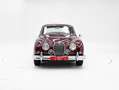 Jaguar MK II '60 CH03bw Rouge - thumbnail 4