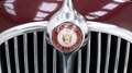 Jaguar MK II '60 CH03bw Rouge - thumbnail 12