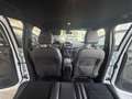 Ford Kuga 2,0 TDCi ST-Line Start/Stop Powershift Aut. AWD Weiß - thumbnail 17
