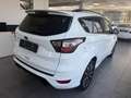 Ford Kuga 2,0 TDCi ST-Line Start/Stop Powershift Aut. AWD Weiß - thumbnail 13