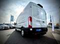 Ford Transit Transit Kasten 2,0 EcoBlue L3H2 350 Trend LEASI... Weiß - thumbnail 5