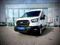 Ford Transit Transit Kasten 2,0 EcoBlue L3H2 350 Trend LEASI... Weiß - thumbnail 2