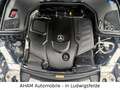 Mercedes-Benz E 400 E400 Avantgarde 4Matic|PANO|STDHZ|BURMESTER|VOLL Noir - thumbnail 13