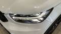 Volvo XC40 - thumbnail 7