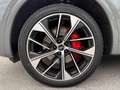 Audi Q5 Q5 SPB 40 TDI quattro S tronic S line plus Mhev Grau - thumbnail 11