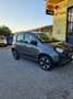 Fiat Panda 1.0 firefly hybrid Cross s&s 70cv 5p.ti - thumbnail 5