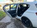 BMW 116 Serie 1 F/20-21 2015 116d Msport 5p Bianco - thumbnail 11
