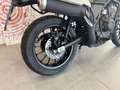 Honda CL 500 CL 500 - YM 2024 - thumbnail 12