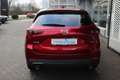 Mazda CX-5 Advantage G-194 AT AHK NAVI ACCA 360° HUD SHZ LogI Rojo - thumbnail 4
