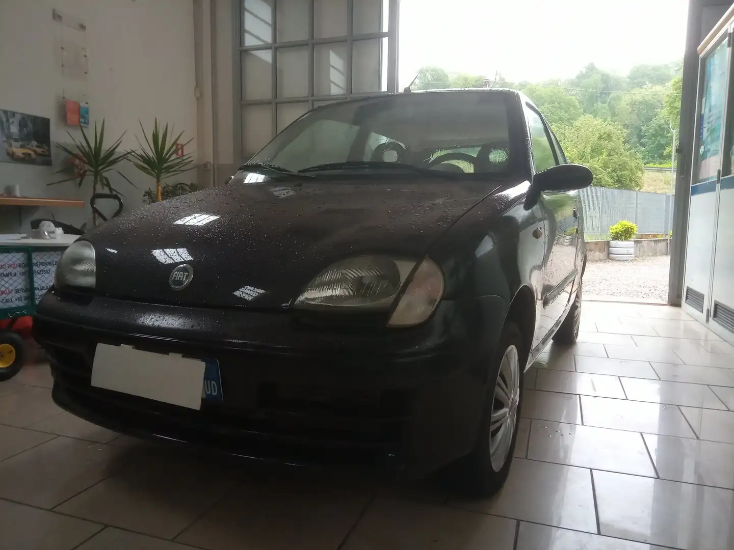 Fiat 600 Nero - 1