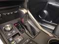 Lexus NX 300h 2.5 Business Navigation 2WD Silver - thumbnail 28