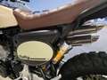 Fantic Caballero 500 RALLY - 07/2023  - km 970 - thumbnail 10