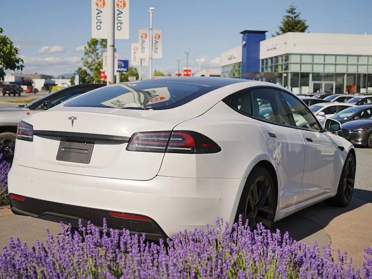 Tesla Model S fotografie Tesla Model S