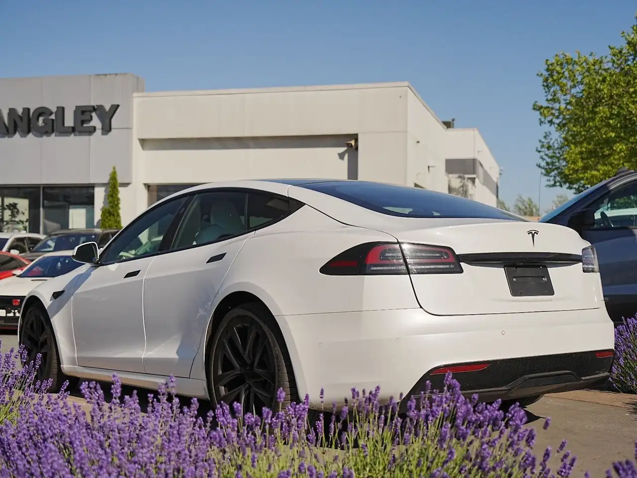 Tesla Model S fotografie Tesla Model S