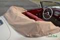 Porsche 356 pre A 1500 Knickscheibe Beige - thumbnail 20