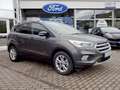 Ford Kuga Titanium 4x4 BI-XENON+DAB+SHZG.+PARKASS.+TWA+ Gris - thumbnail 1