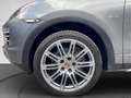 Porsche Cayenne II Platinum Edition 3,0 Diesel Aut. Grau - thumbnail 16
