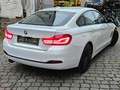BMW 430 430d Gran Coupe xDrive Aut.Sport Line Weiß - thumbnail 4