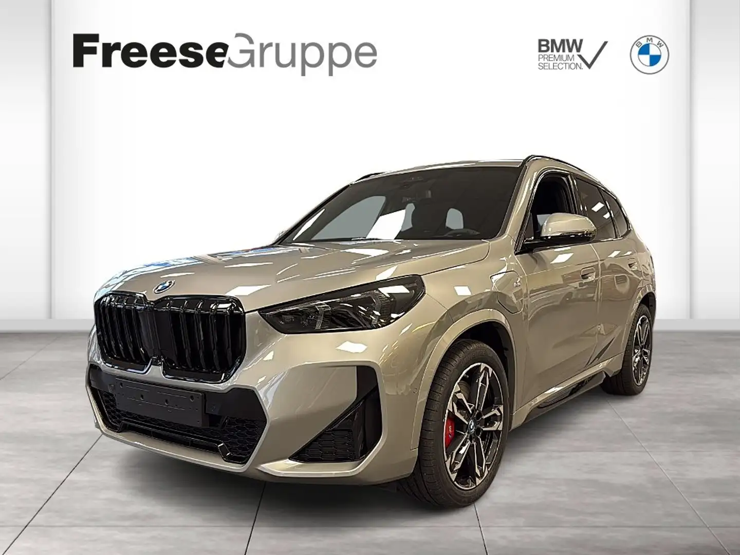 BMW X1 xDrive25e Argent - 1
