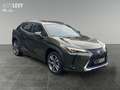 Lexus UX 300e Luxury M&L/CARPLAY Grün - thumbnail 8