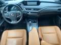 Lexus UX 300e Luxury M&L/CARPLAY Grün - thumbnail 11