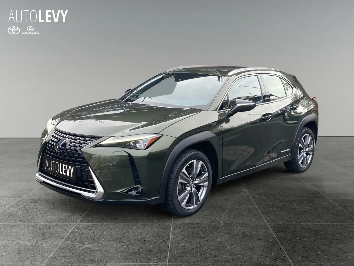 Lexus UX 300e Luxury M&L/CARPLAY Grün - 2