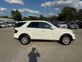 Mercedes-Benz ML 280 CDI 4MATIC Aut. DPF | PICKERL 10/2026 INKL.ÜBER... Grau - thumbnail 6