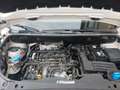 Volkswagen Caddy Maxi 2,0 TDI DSG 4 Motion 1.Hand RFK Weiß - thumbnail 19