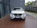 BMW X5 xdrive30d Experience 258cv auto Blanc - thumbnail 2