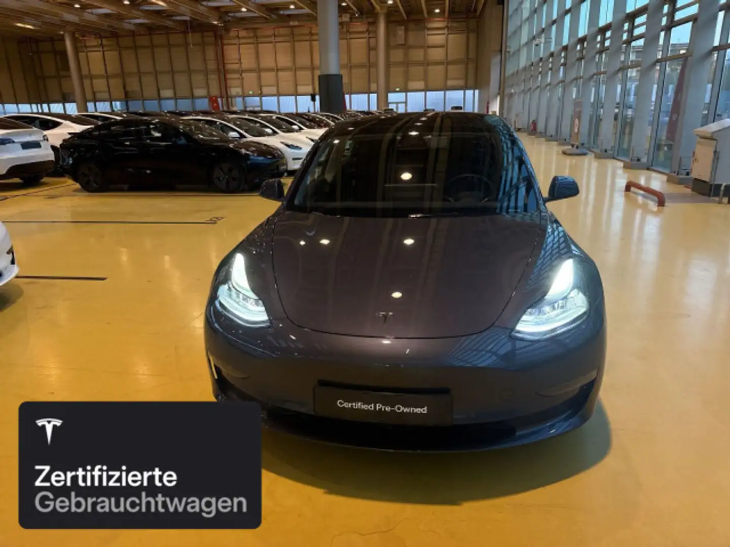 Tesla Model 3 Performance Silber - 2