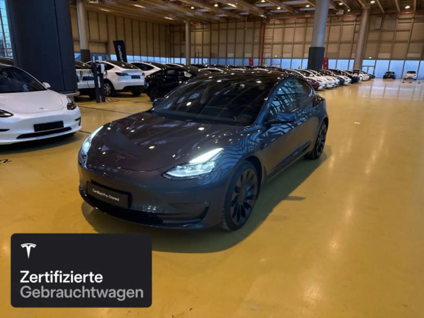 Tesla Model 3 Performance Silber - 1