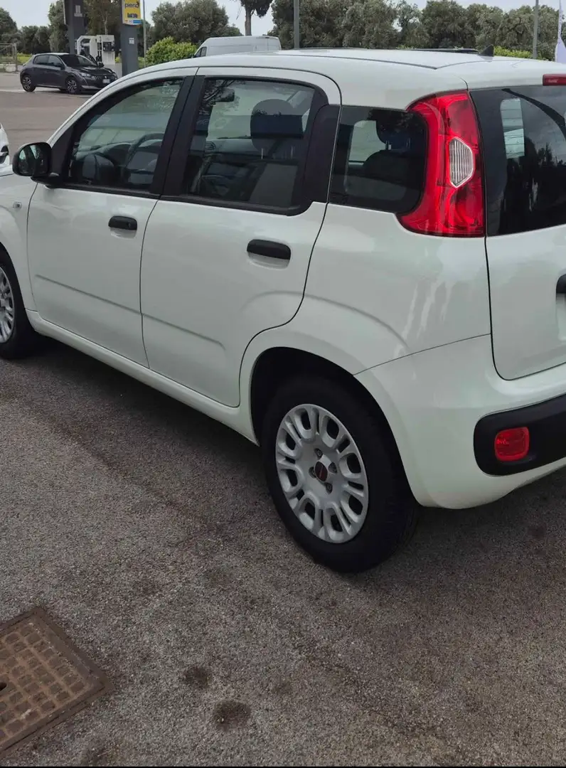 Fiat Panda 1.2 Lounge easypower Gpl 69cv - 1