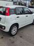 Fiat Panda 1.2 Lounge easypower Gpl 69cv - thumbnail 2