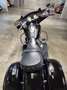 Indian Chieftain Fekete - thumbnail 13