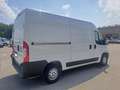 Fiat Ducato FURGONE PM TA 2.3 MJT 120 CV EUOR6 D-TEMP Blanco - thumbnail 6