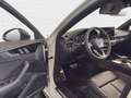 Audi RS4 *EUPE 125.126*280 km/h*Keramik*HUD*B&O Білий - thumbnail 14