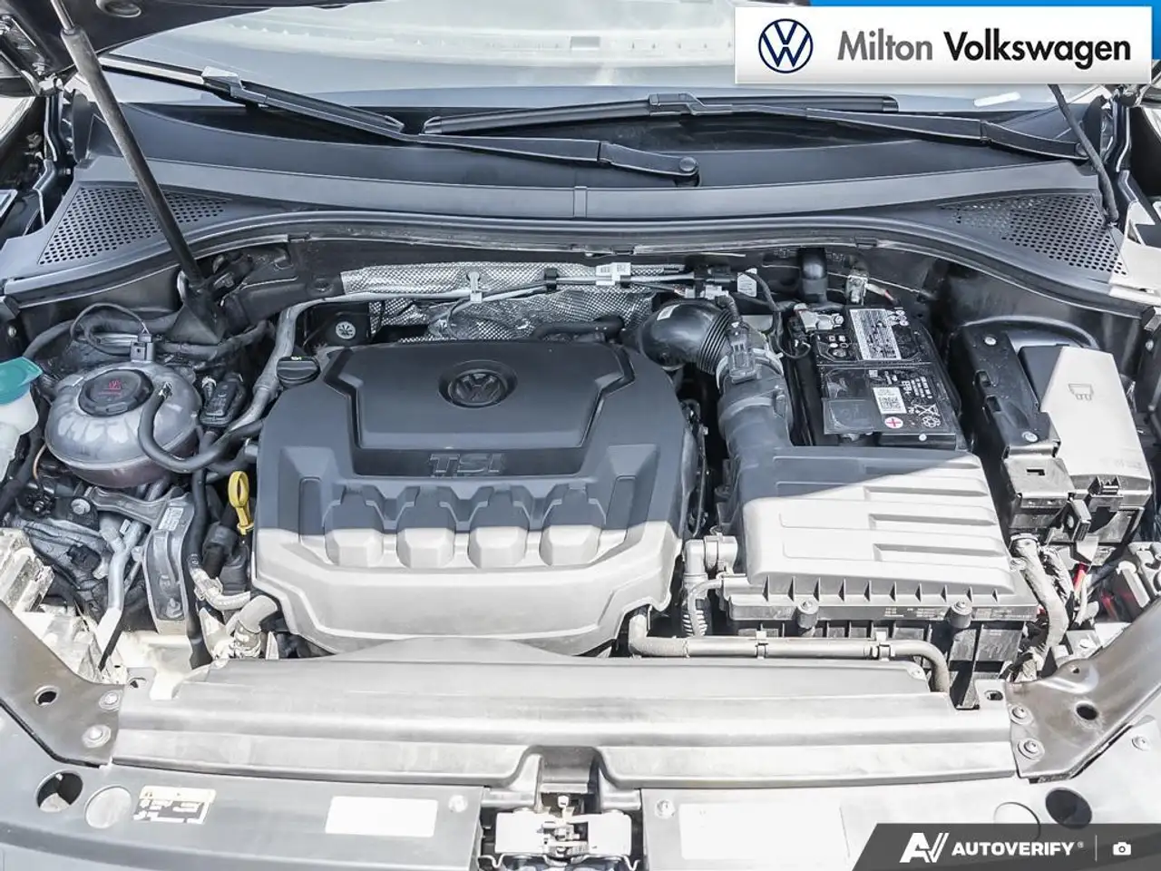 Volkswagen Tiguan fotografie Volkswagen Tiguan