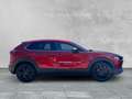 Mazda CX-30 HOMURA 2.5L e-SKYACTIV Homura NAVI+PDC+LED+ALEXA Rouge - thumbnail 6