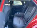 Mazda CX-30 HOMURA 2.5L e-SKYACTIV Homura NAVI+PDC+LED+ALEXA Rouge - thumbnail 11