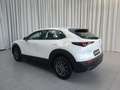 Mazda CX-30 G140PS 6MT 2WD 2.5L e-skyactiv PRIME-LINE Blanco - thumbnail 6