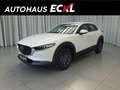 Mazda CX-30 G140PS 6MT 2WD 2.5L e-skyactiv PRIME-LINE Blanco - thumbnail 1
