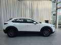 Mazda CX-30 G140PS 6MT 2WD 2.5L e-skyactiv PRIME-LINE Blanco - thumbnail 4