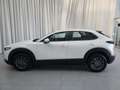 Mazda CX-30 G140PS 6MT 2WD 2.5L e-skyactiv PRIME-LINE Blanco - thumbnail 7