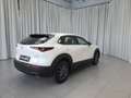 Mazda CX-30 G140PS 6MT 2WD 2.5L e-skyactiv PRIME-LINE Blanco - thumbnail 5